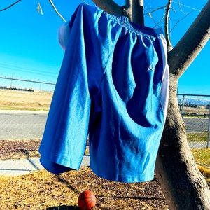 RARE JUMPMAN NORTH CAROLINA TAR HEELS SHIMMER SHORTS MEN'S SIZE XL